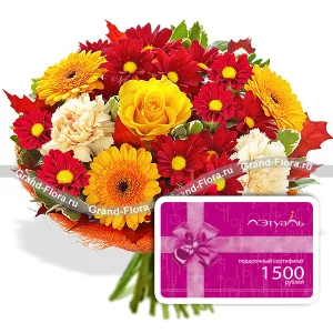 Осенний лес + сертификат 1500